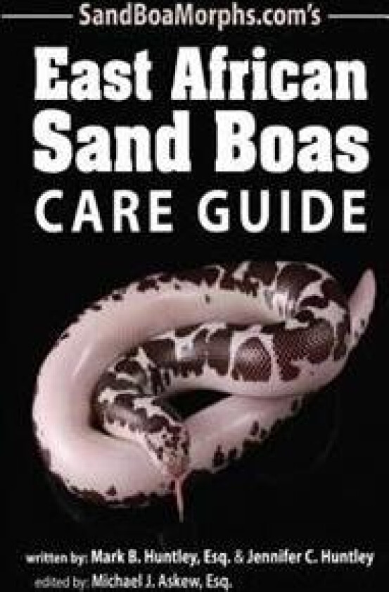 East African Sand Boas Care Guide