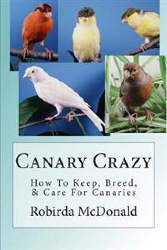 Canary Crazy: How to Keep, Breed, & Care for Canaries