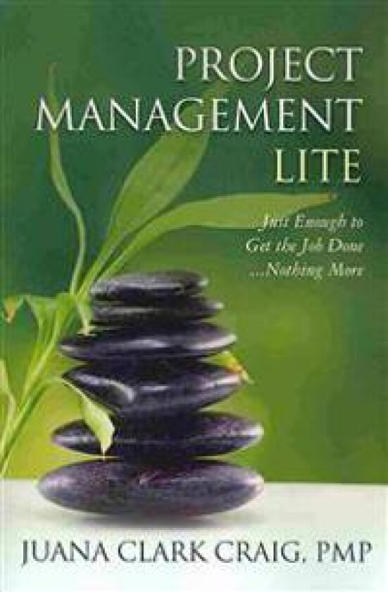 Project Management Lite: Just Enough to Get the Job Done...Nothing More