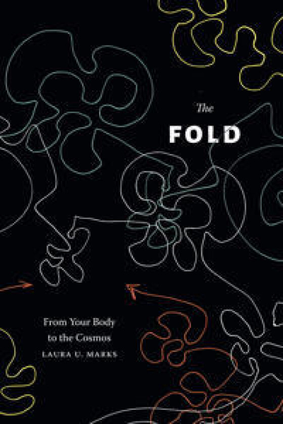 The Fold