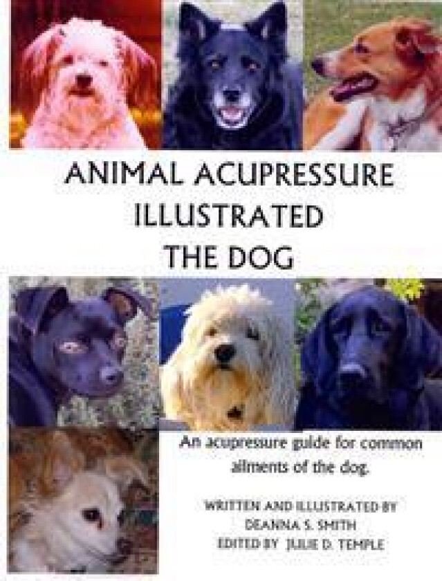 Animal Acupressure Illustrated The Dog
