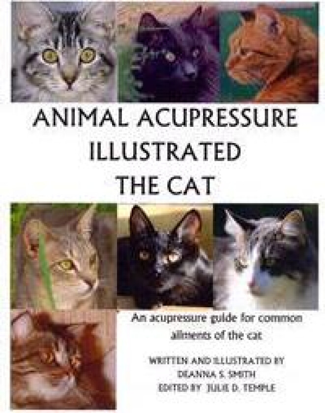 Animal Acupressure Illustrated the Cat