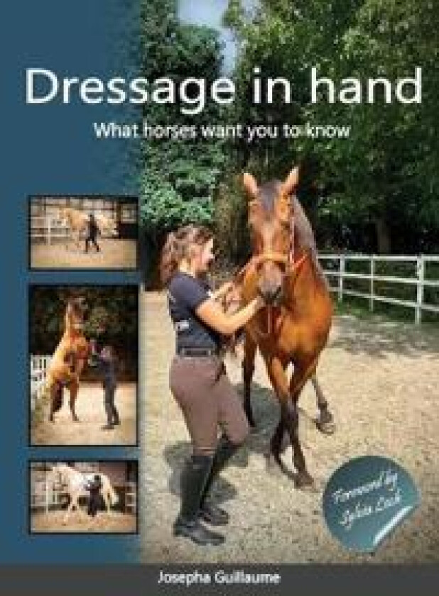 Dressage in hand