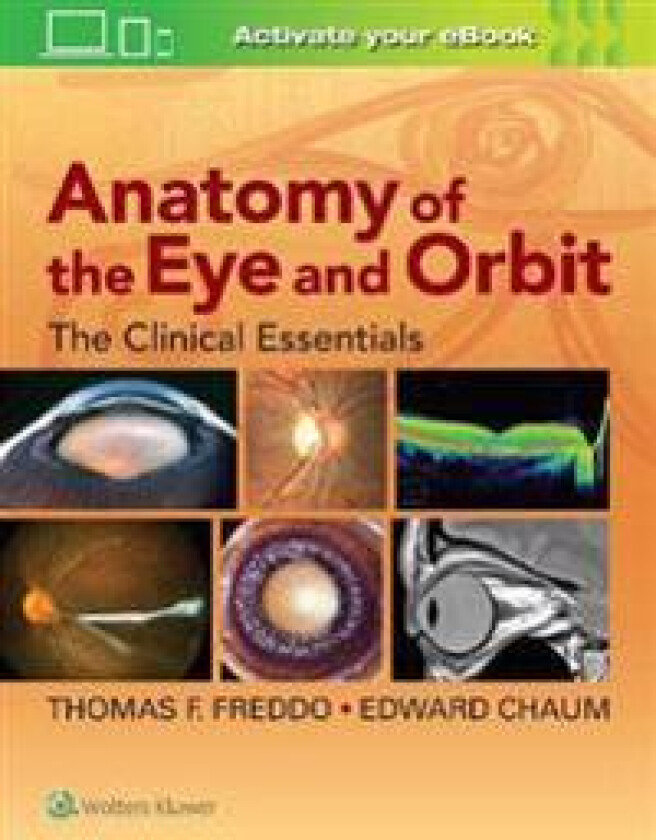 Anatomy of the Eye and Orbit