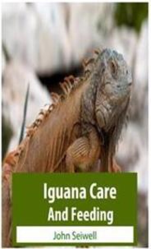 Iguana Care and Feeding