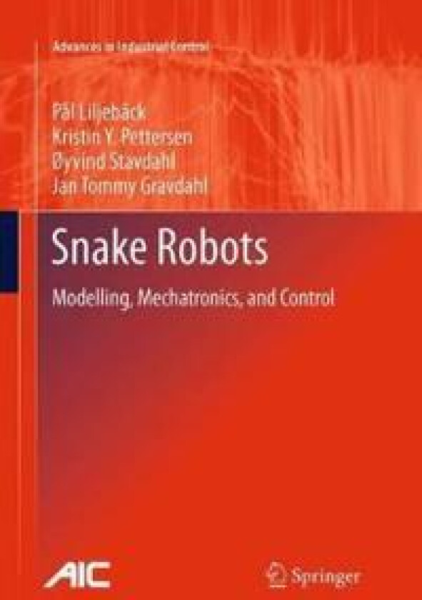 Snake Robots