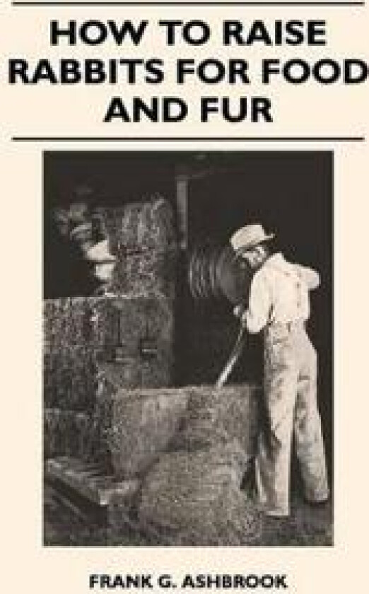 How To Raise Rabbits For Food And Fur