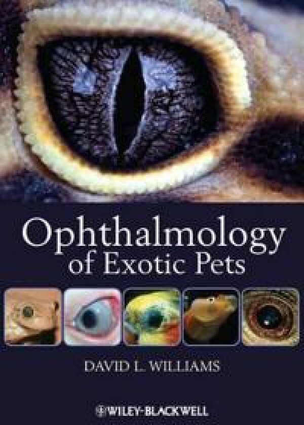 Ophthalmology of Exotic Pets