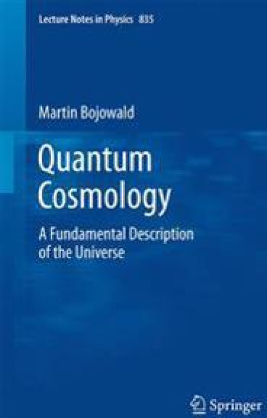 Quantum Cosmology