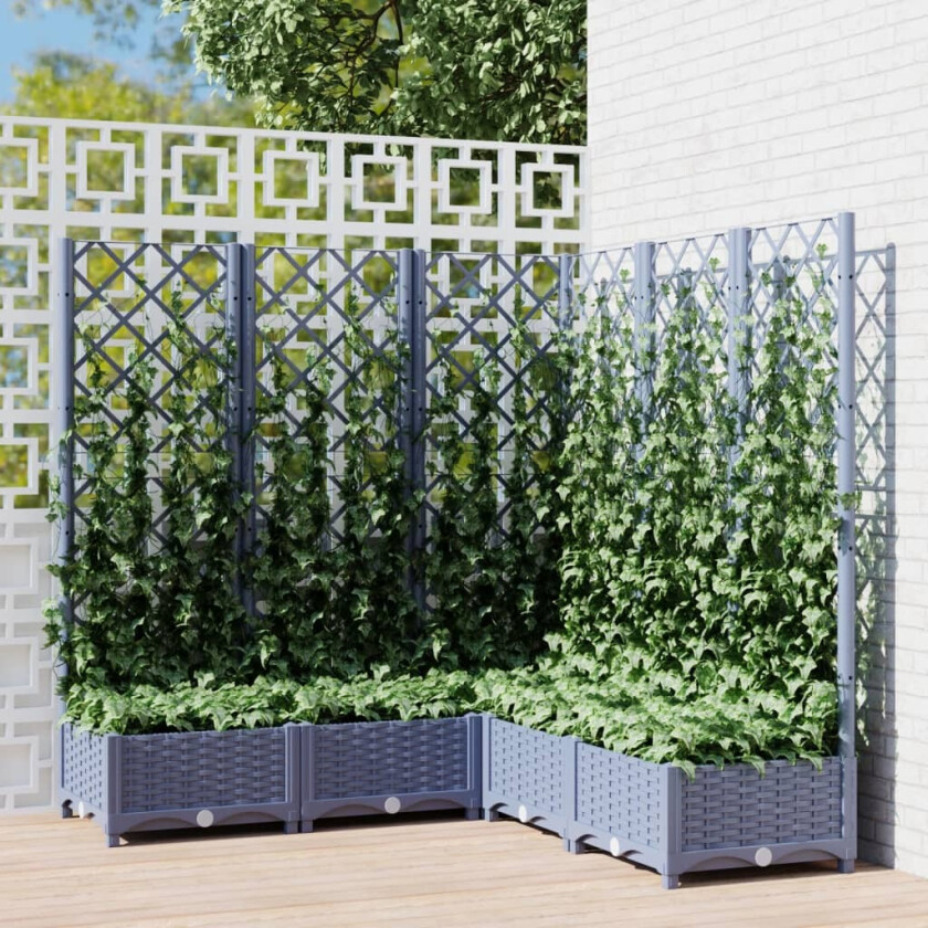 Plantekasse med espalier mørkegrå 120x120x121,5 cm PP