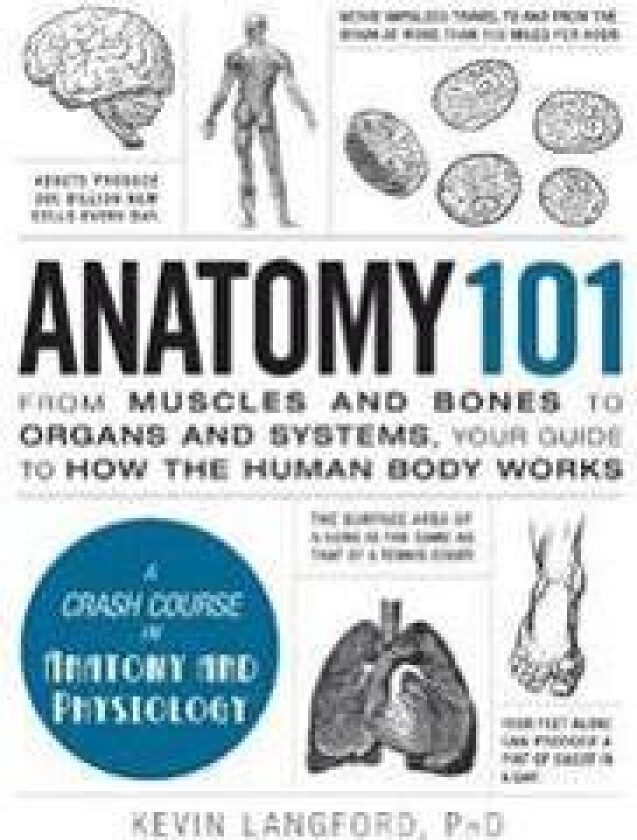 Anatomy 101