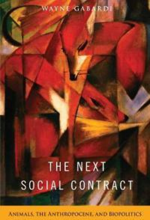 The Next Social Contract