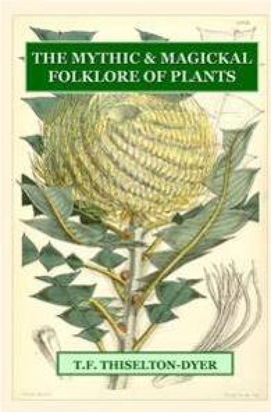 The Mythic & Magickal Folklore Of Plants