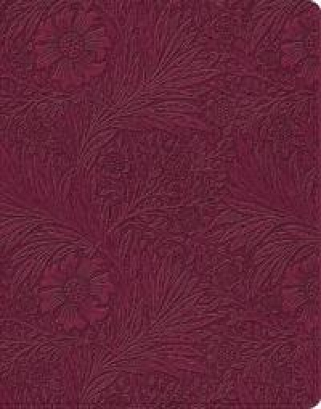 ESV Single Column Journaling Bible