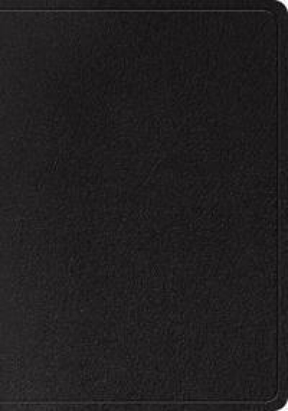 ESV Large Print Wide Margin Bible