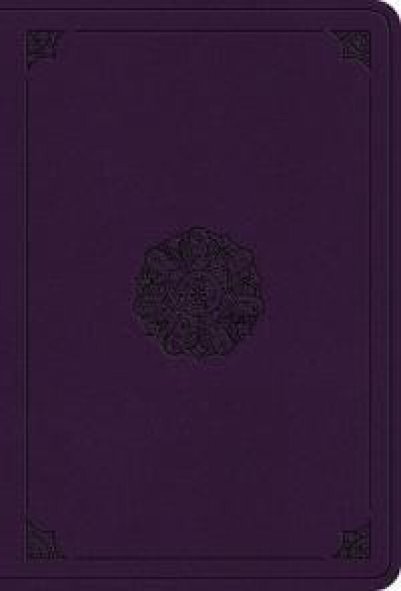 ESV Value Large Print Compact Bible
