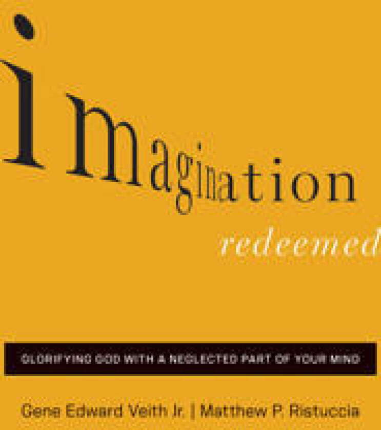 Imagination Redeemed