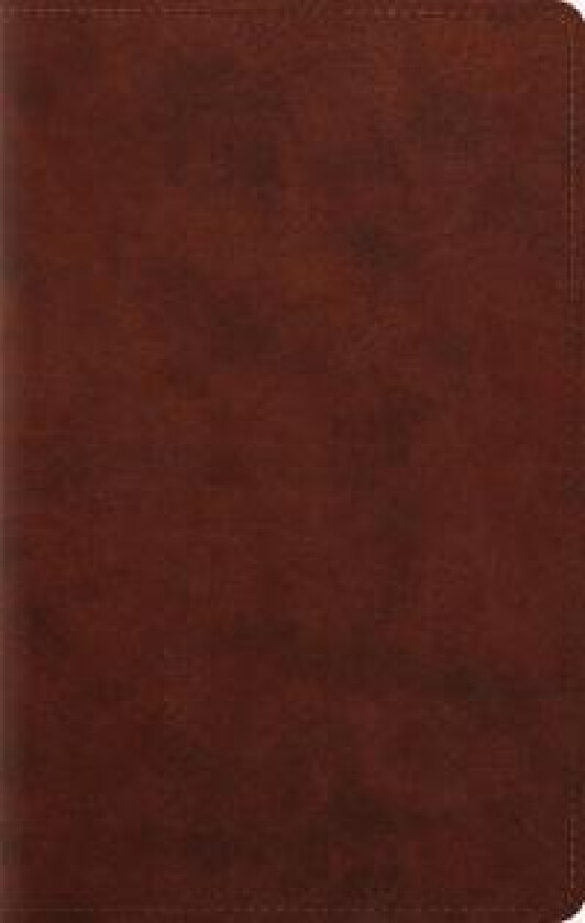ESV Large Print Personal Size Bible