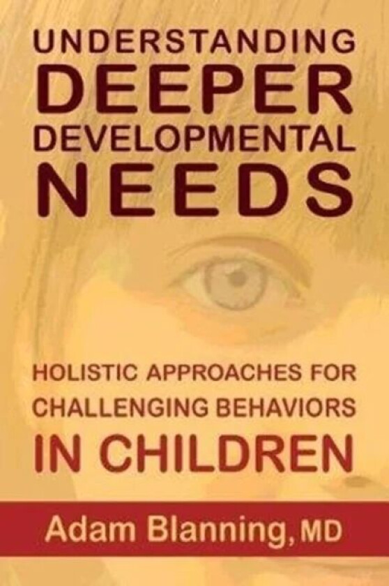 Understanding Deeper Developmental Needs av Adam MD Blanning