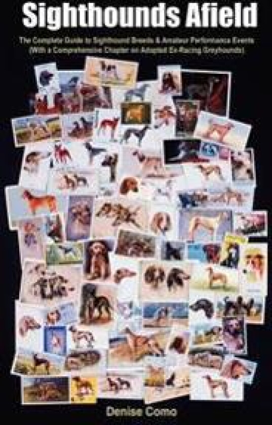 Sighthounds Afield