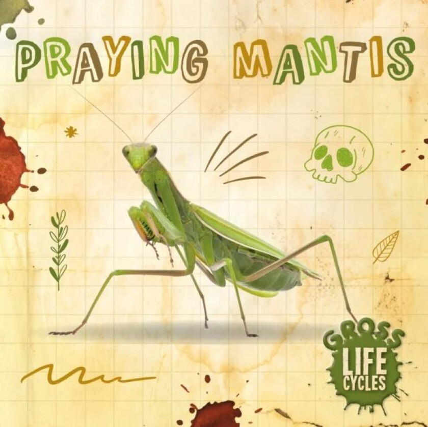 Praying Mantis av William Anthony