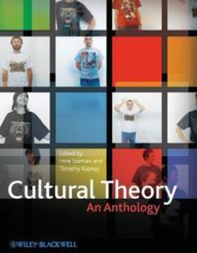 Cultural Theory