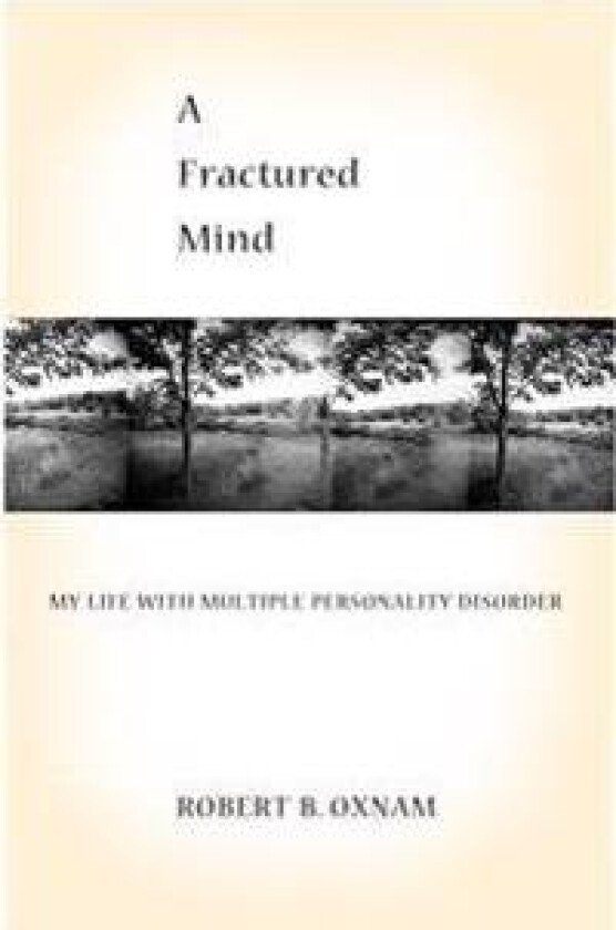 A Fractured Mind