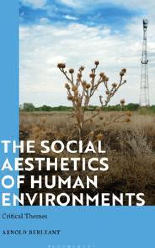 The Social Aesthetics of Human Environments