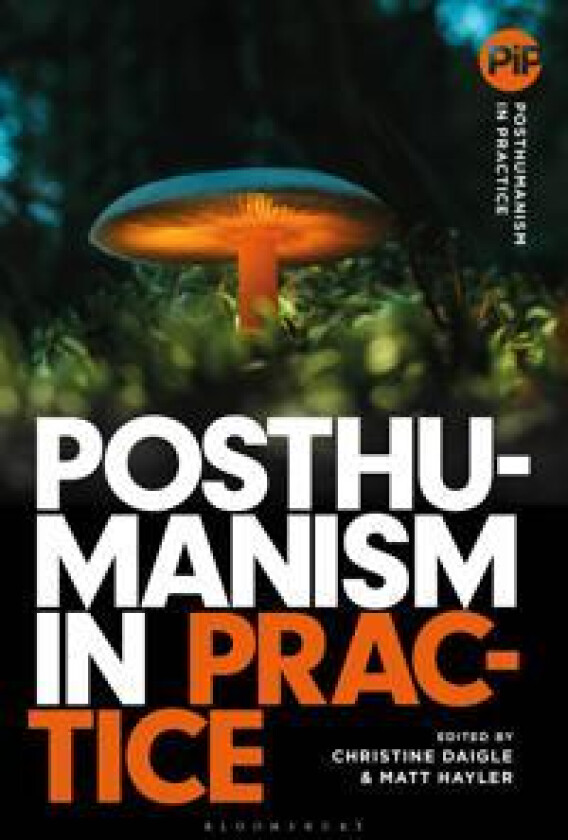 Posthumanism in Practice