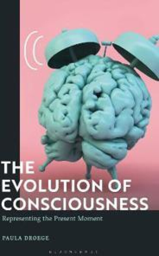 The Evolution of Consciousness