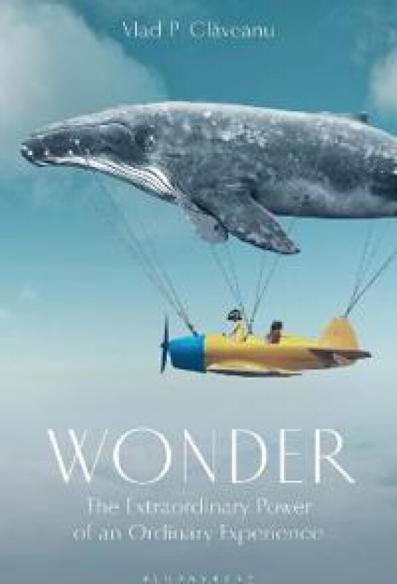 Wonder