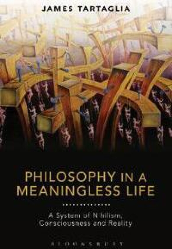 Philosophy in a Meaningless Life