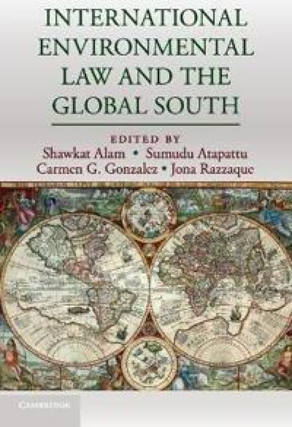 International Environmental Law and the Global South