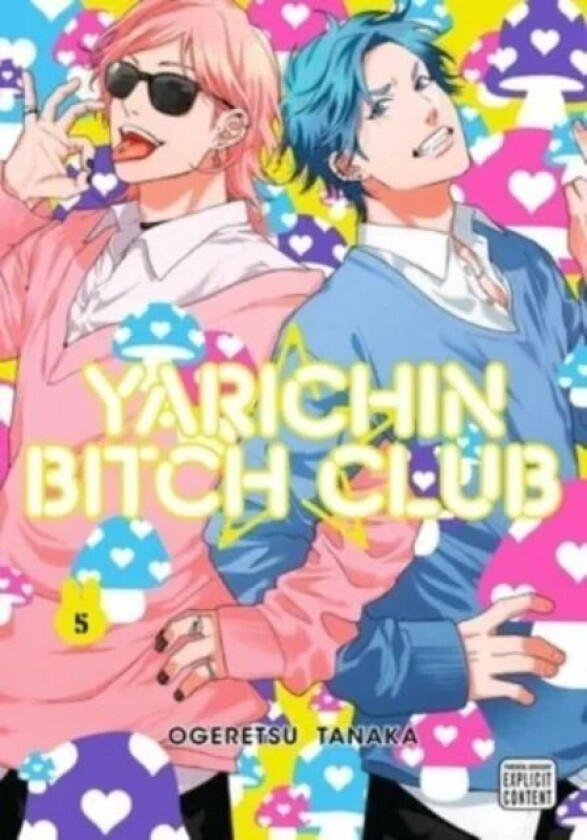 Yarichin Bitch Club, Vol. 5 av Ogeretsu Tanaka