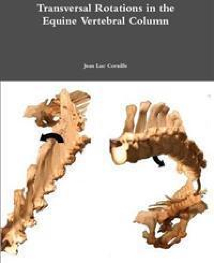 Transversal Rotations in the Equine Vertebral Column