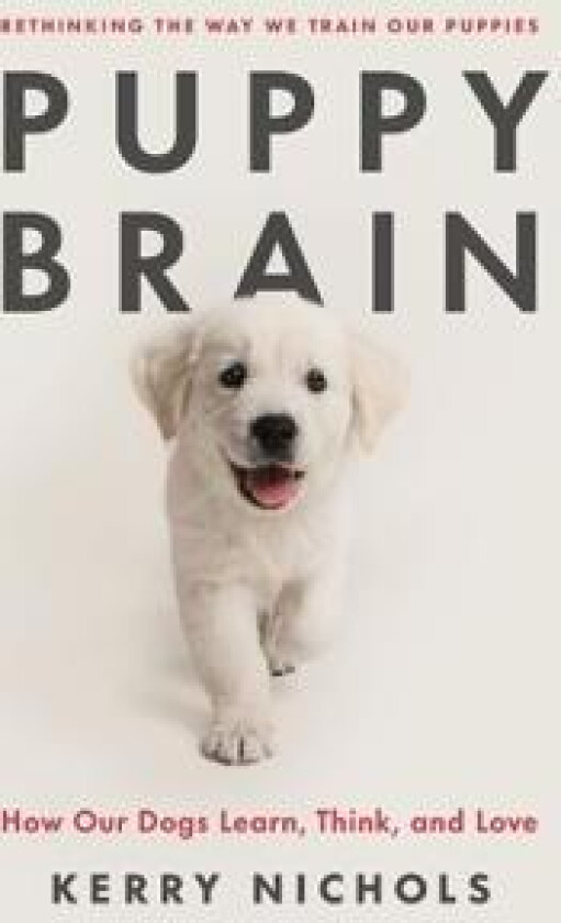 PUPPY BRAIN