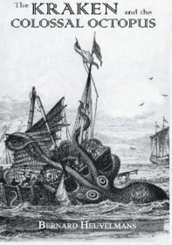 Kraken and The Colossal Octopus