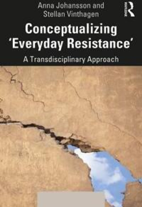 Conceptualizing 'Everyday Resistance'