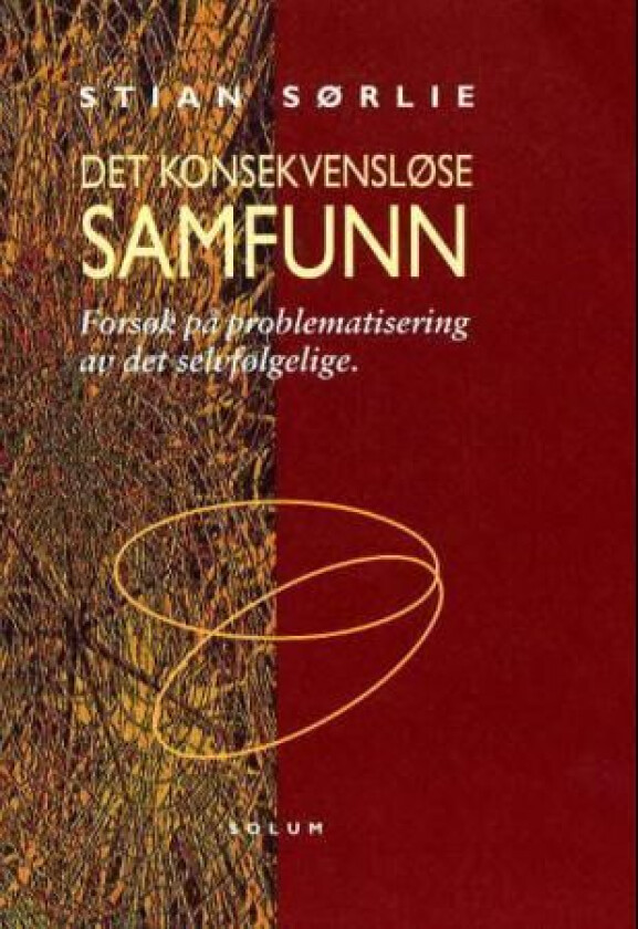 Det konsekvensløse samfunn av Stian Sørlie