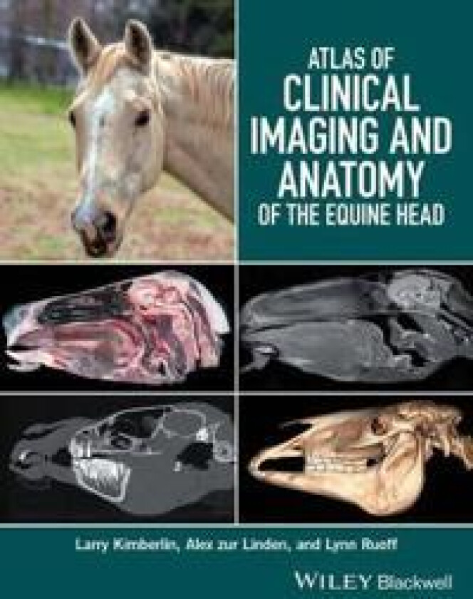 Atlas of Clinical Imaging and Anatomy of the Equine Head