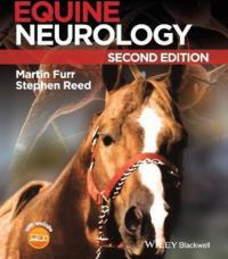 Equine Neurology