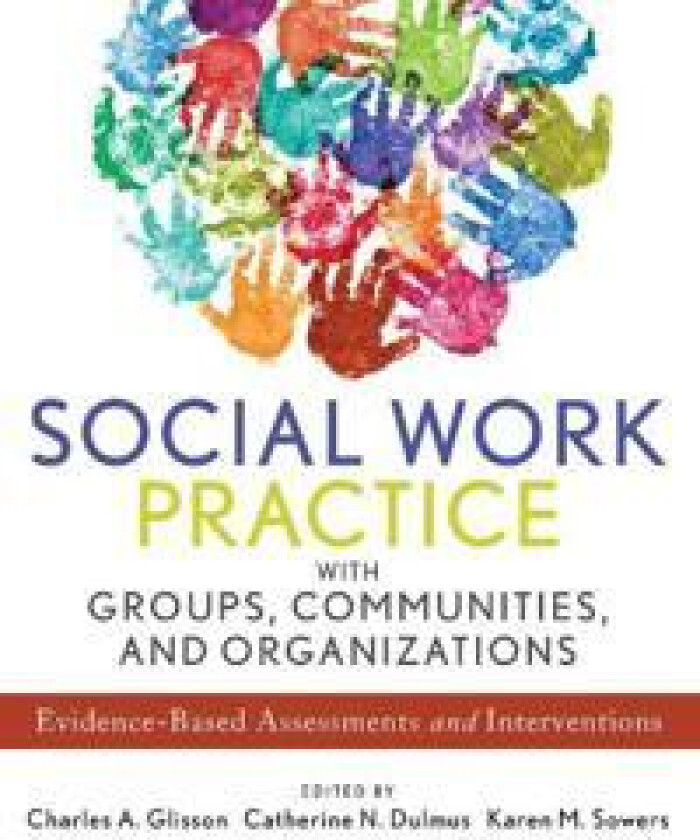 Social Work Practice with Groups, Communities, and Organizations
