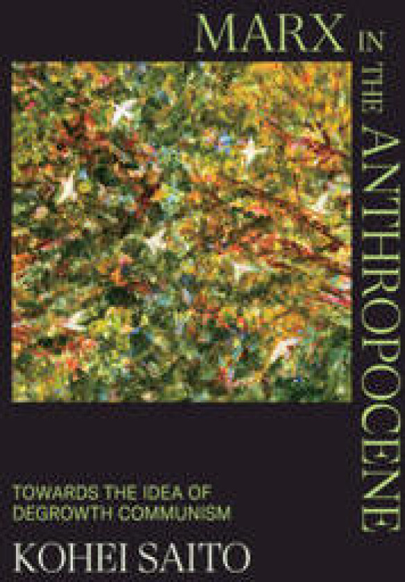 Marx in the Anthropocene