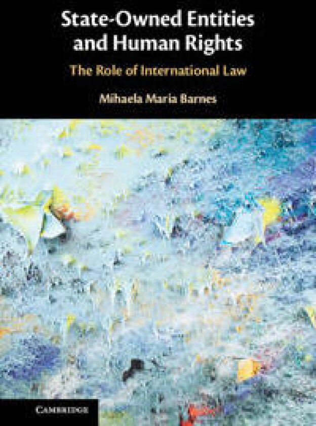 State-Owned Entities and Human Rights