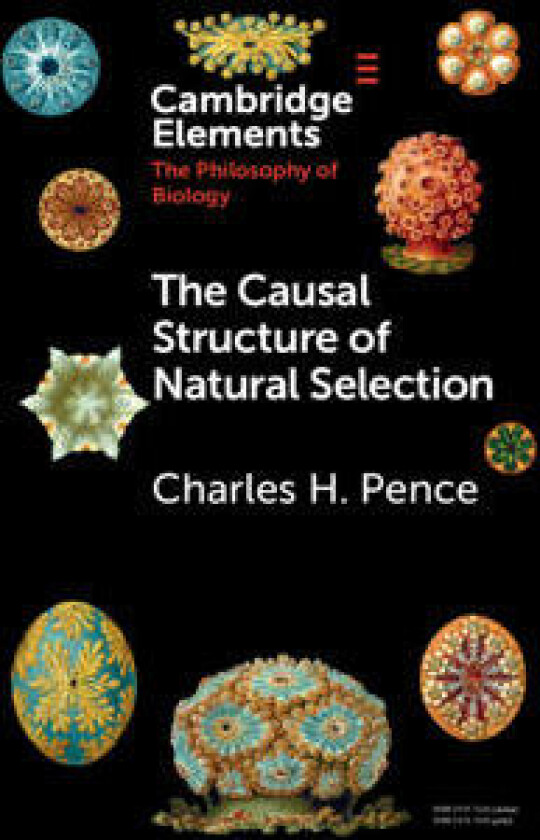 The Causal Structure of Natural Selection
