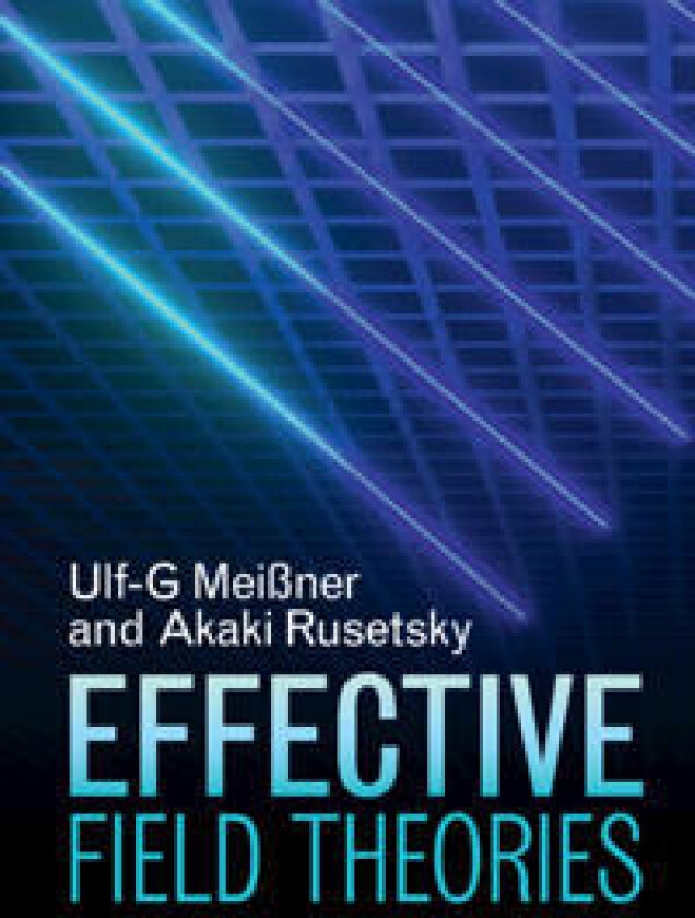 Effective Field Theories