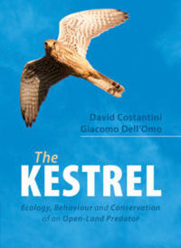 The Kestrel