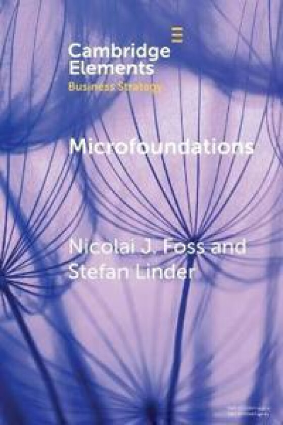 Microfoundations