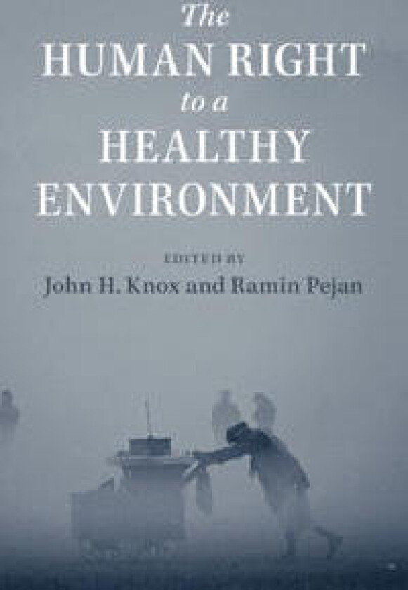 The Human Right to a Healthy Environment