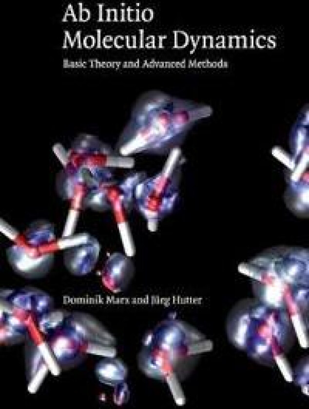 Ab Initio Molecular Dynamics